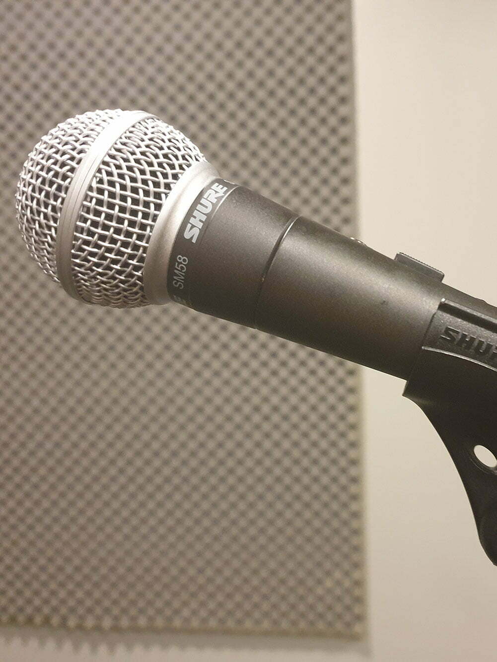 2 Microphones - SHURE SM58S